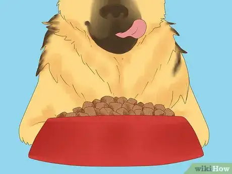 Imagen titulada Make Your German Shepherd Gain Weight Step 5