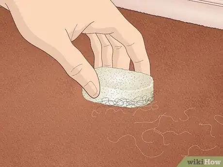 Imagen titulada Remove Hair from a Carpet Without Vacuuming Step 9