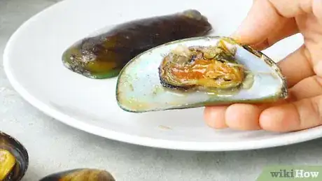 Imagen titulada Eat Mussels Step 6