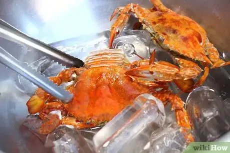 Imagen titulada Boil Blue Crab Step 11