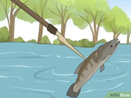 Imagen titulada Catch Fish Without Using a Rod Step 13.jpeg