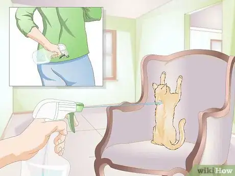 Imagen titulada Use a Spray Bottle on a Cat for Training Step 8