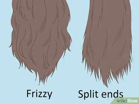 Imagen titulada Detect Split Ends Step 1