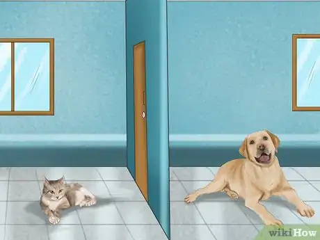 Imagen titulada Make a Cat and Dog Get Along Step 3