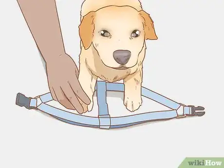 Imagen titulada Put on a Dog Harness Step 3