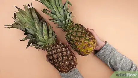 Imagen titulada Tell if a Pineapple Is Ripe Step 5