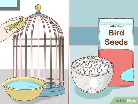 Imagen titulada Treat Respiratory Infections in African Grey Parrots Step 16