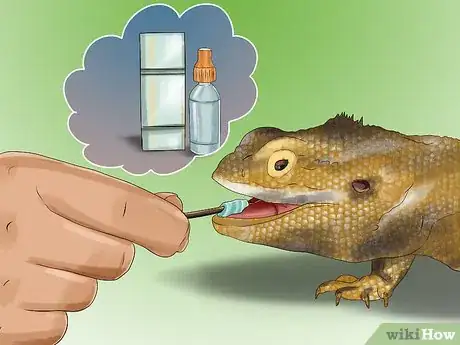 Imagen titulada Care for a Sick Bearded Dragon Step 8