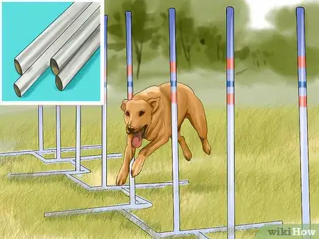 Imagen titulada Design a Dog Agility Course Step 4