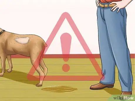 Imagen titulada Determine if a Dog Is Dehydrated Step 8