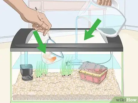 Imagen titulada Clean Fish Tank Rocks Step 5