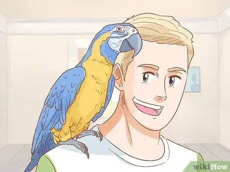 Imagen titulada Know if a Macaw Is Right for You Step 2