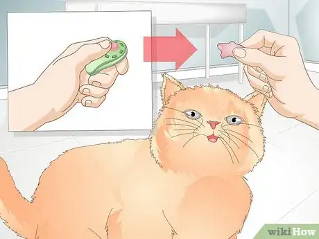 Imagen titulada Teach Your Cat to Give a Handshake Step 7