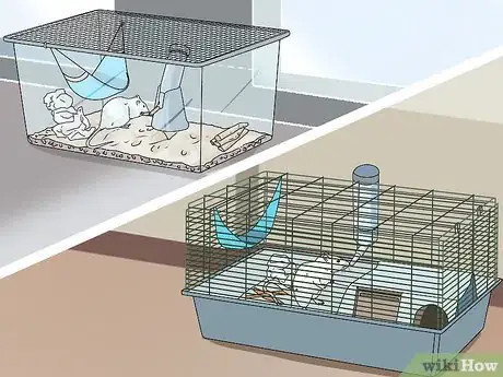 Imagen titulada Introduce a New Pet Rat to Another Rat Step 3