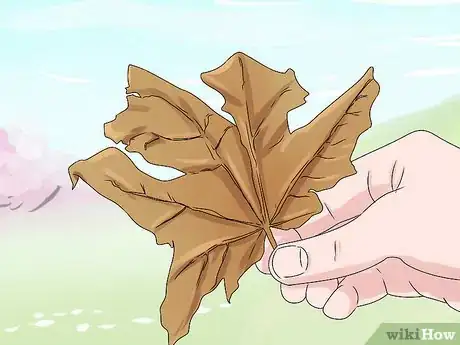 Imagen titulada Rake Leaves Step 8