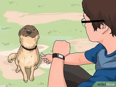 Imagen titulada Teach a Dog to Smile Step 2