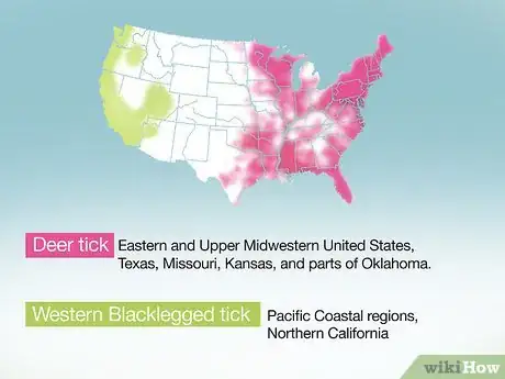 Imagen titulada Identify a Deer Tick Step 6