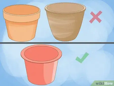 Imagen titulada Grow Geraniums in Pots Step 3