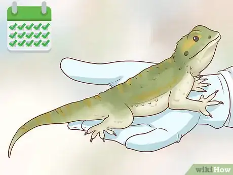 Imagen titulada Care for Bearded Dragons Step 26