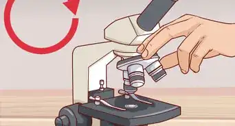 enfocar un microscopio