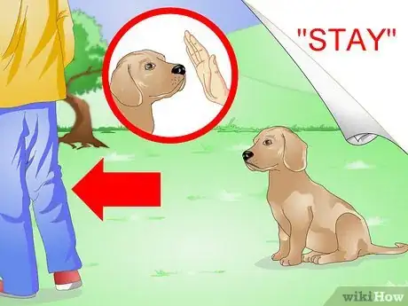 Imagen titulada Train a Hyper Dog Step 10