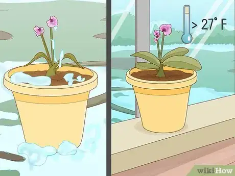 Imagen titulada Revive an Orchid Plant Step 9