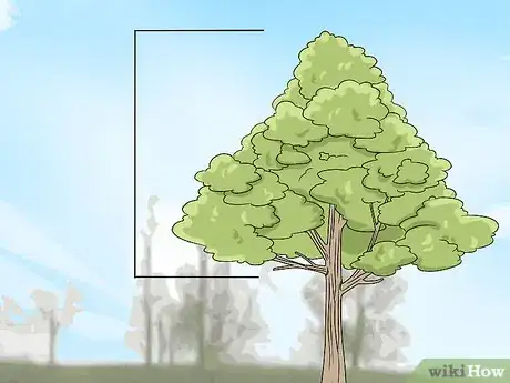 Imagen titulada Trim Oak Trees Step 5