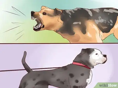 Imagen titulada Train a Guard Dog Step 1
