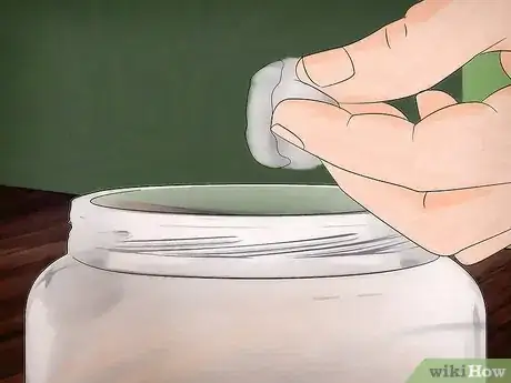 Imagen titulada Kill Ants Using Borax Step 6