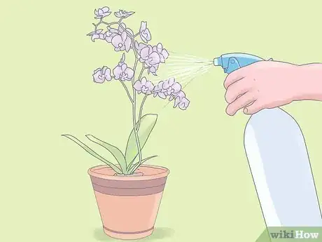 Imagen titulada Care for Mini Orchids Step 12