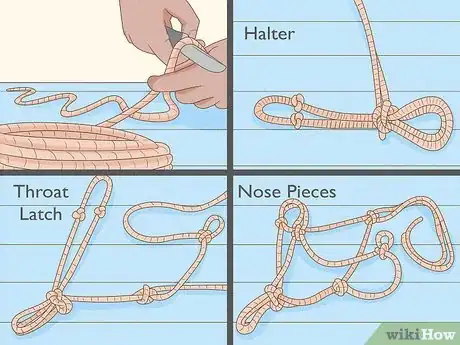 Imagen titulada Tie a Rope Halter Step 1