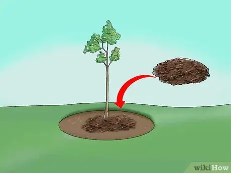 Imagen titulada Apply Mulch Step 6