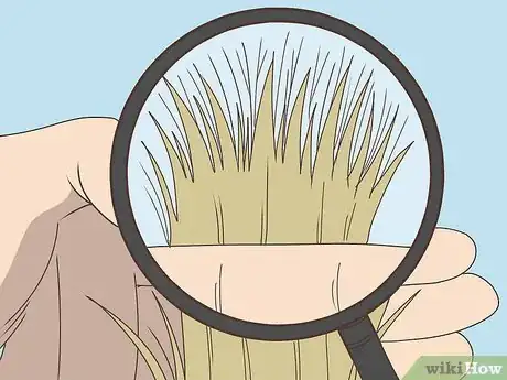 Imagen titulada Detect Split Ends Step 7