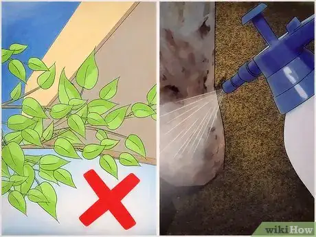 Imagen titulada Get Rid of Mites Step 13