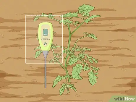 Imagen titulada Determine How Much Water Plants Need Step 7