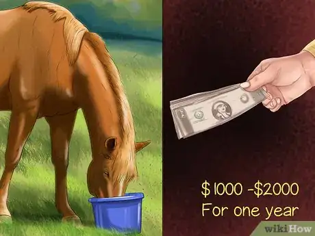 Imagen titulada Know if You Have What It Takes to Own a Horse Step 3