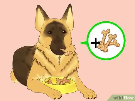 Imagen titulada Make Your German Shepherd Gain Weight Step 6