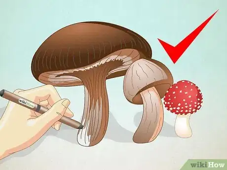 Imagen titulada Draw Mushrooms Step 6