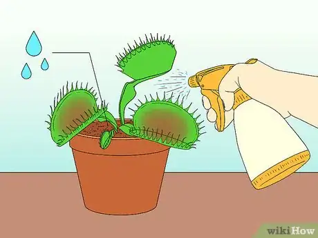 Imagen titulada Care for Venus Fly Traps Step 14