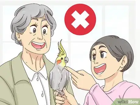 Imagen titulada Stop Your Cockatiel from Biting Step 2