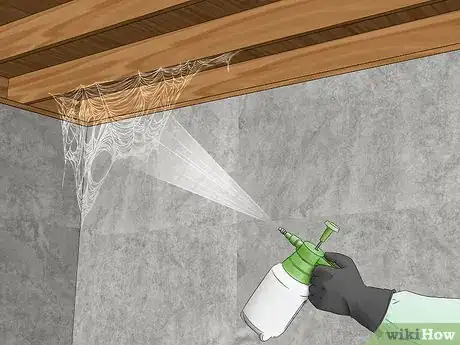 Imagen titulada Get Rid of Spider Webs Step 10