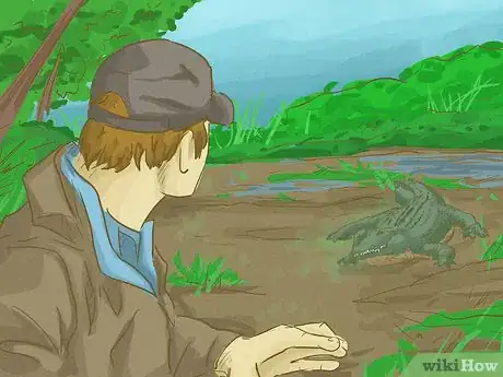 Imagen titulada Survive an Encounter with a Crocodile or Alligator Step 13