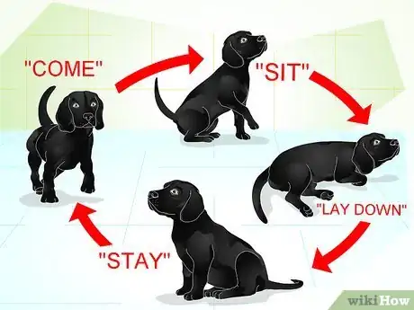 Imagen titulada Raise a Dog Step 25