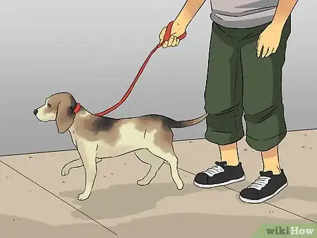 Imagen titulada Make a Routine for Your Dog Step 9