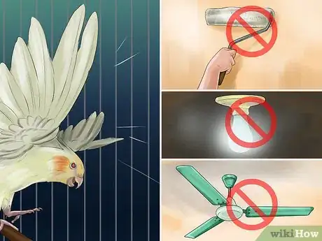 Imagen titulada Deal with Cockatiel Night Frights Step 11