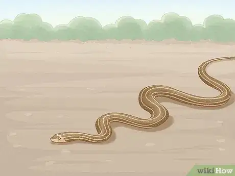 Imagen titulada Get Rid of Snakes Step 6