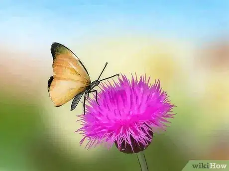 Imagen titulada Care for a Butterfly with a Broken Wing Step 9