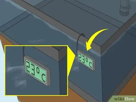 Imagen titulada Raise Brine Shrimp Step 9