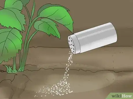 Imagen titulada Apply Diatomaceous Earth Outdoors Step 12