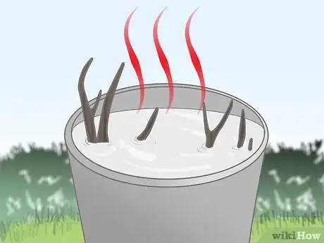 Imagen titulada Clean Deer Antlers Step 3